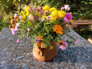 Bunte Blumen - ein Symbol für die Vielfalt bei uns und in der ganzen Welt